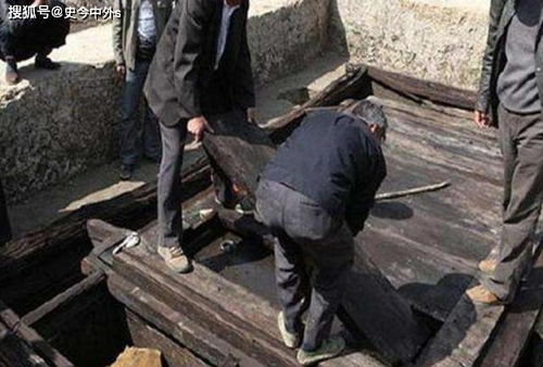 现代化社会周边环境的反思