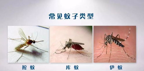 三、 身体健康与事业顺利间隙中的符号重叠