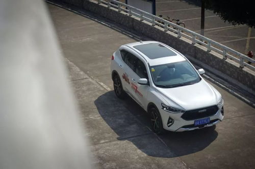 为何2025年6月2日不宜开业的学术论证