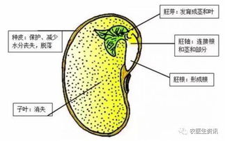 姓名的文化底蕴底蕴与现代化意义
