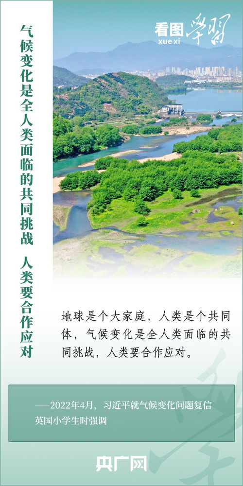 风水大师的社会现象及其背后的文化根源