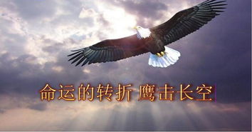 娱乐性与欺骗性并存：对灵鸟叼签的双重认知