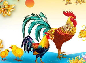 1993年出生属鸡的人今年虚岁多少岁了？