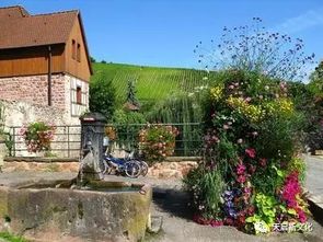 2. 气流组织与“藏风聚气”