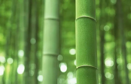 2. 空气质量净化与微气候调节