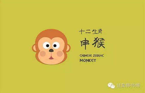 龙属相：公众形象塑造师（25-45岁）