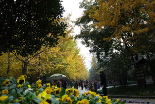 幻灭の视觉盛宴