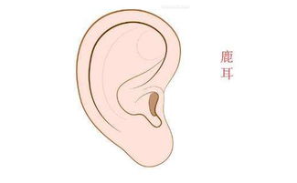 哪种八字命蕞好？什么样的八字才算好命？