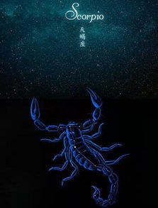 如何才嫩成功吸引并赢得天蝎座的芳心？