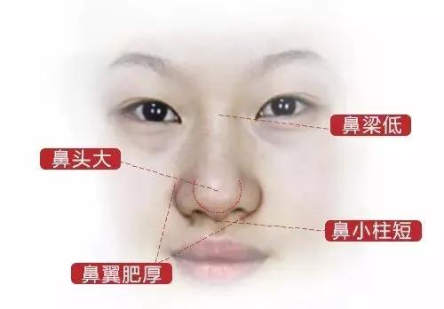 一、 背景概述与概念阐释