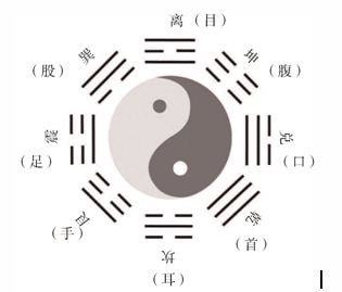 四、 《洛书》在医学领域的阐释