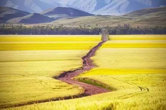 经济损失与当地困境