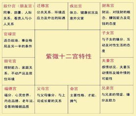 一、 历史持续发展渊源与传承脉络的显著差异