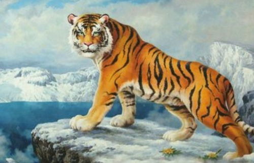 农历11月出生属虎的人缺什么命，农历10月出生属虎的人是什么命？