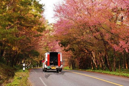 四、 季节风水与自然环境因素综合考量