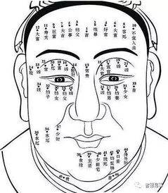 1. 地阁结构与寿命质量关联性分析