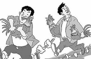 一、  偷鸡行为的律法定性基础：从治安违法到刑事犯法的跨越