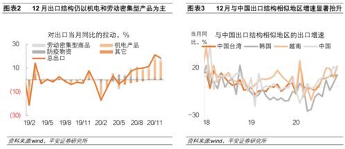 区域性风险评估与应对策略