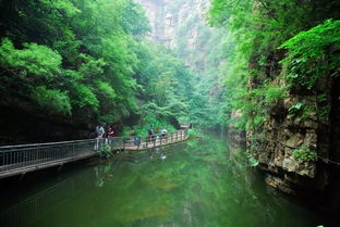 京东大峡谷：玻璃栈道上的尖叫