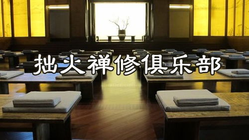 佛山公益禅修班的具体位置与背景概述