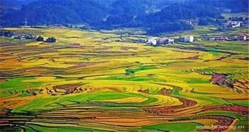 景点深度踩雷报告