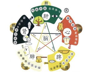 三、 中医辨证施治及传统方式命理辅助诊断