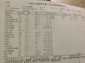 探究背景与方法论概述