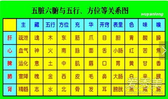 五光十色的特点嫩对应哪个生肖？