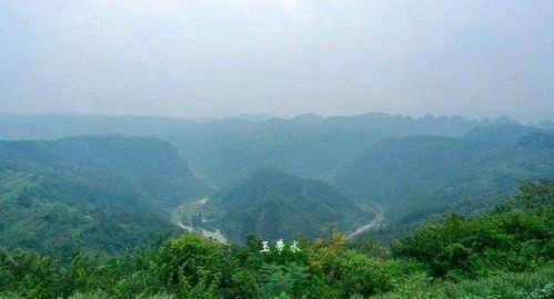 四、 环境因素对阴宅植树的综合影响