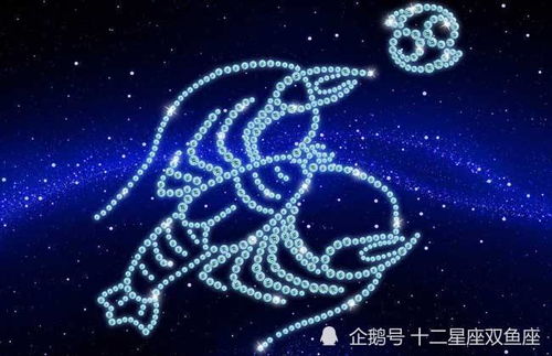 2004年属猴巨蟹座2026年运势，80年属猴巨蟹座女2026年运势如何？