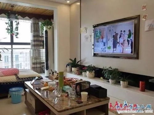 进门处龙边窗户象征意义解析