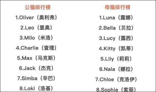 七、“同名异姓家族案例”（示例）