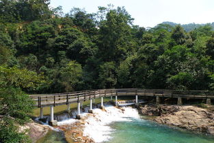 1. 那个让人绝望的原价表