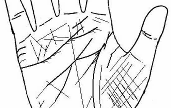 智慧线末端走向与分叉现象的解析