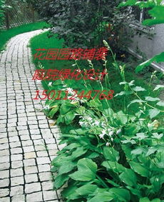 别墅水池假山风水有哪些讲究和注意事项？