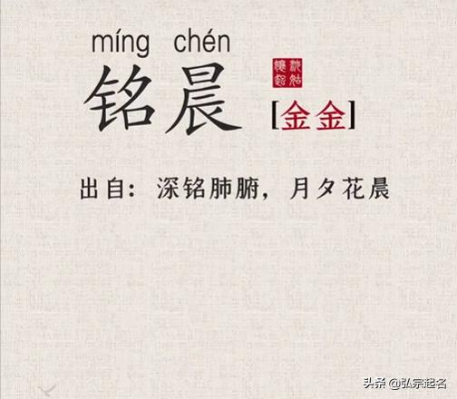 了解“阳光向上”的寓意