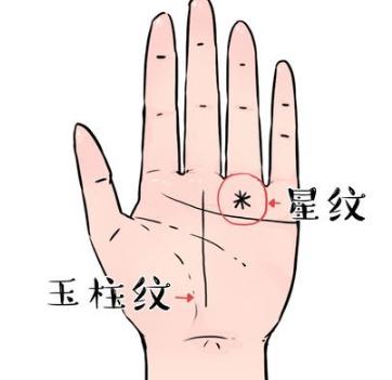 掌纹分叉现象概述与探究框架