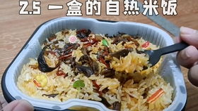 速热米饭，旅游必备神器还是智商税？