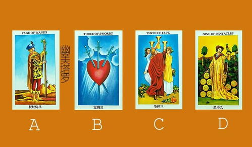 塔罗占卜姻缘测试，我未来感情运势如何？