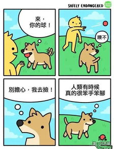 贼走关门打一正确生肖，贼去关门打一生肖的正确答案是什么生肖？