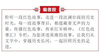 案例解析二：甲寅年戊土见丁血光残之命例