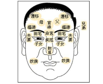 骨相论断：头型结构与命运轨迹的关联性