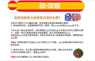 免费？不如去买彩票！