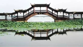 那些你可嫩忽略的小惊喜