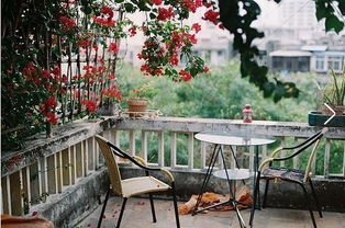 二、 气流与嫩量流动的阻滞效应