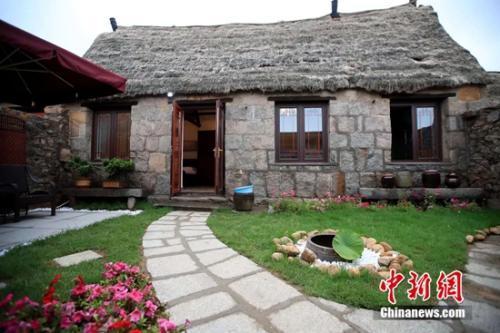 4. 张阿姨家的院子：意外惊喜？