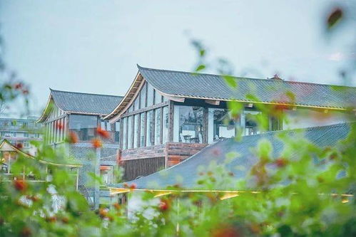 一、  洛的低语：水与雅的交织