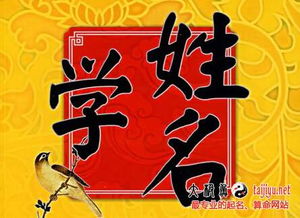 名字81数理详解中，81凶吉数具体含义是什么？