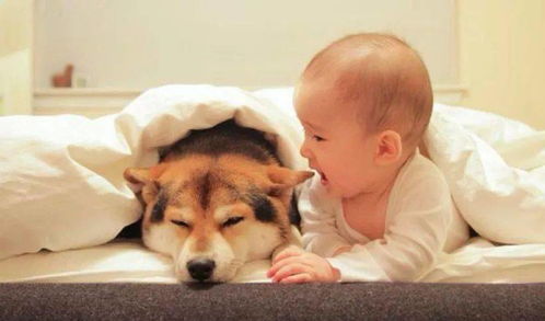 82年狗大海水命女生，改名字是否更符合大海水命特质？