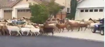 六、 乱七八糟的小贴士（随手写的）